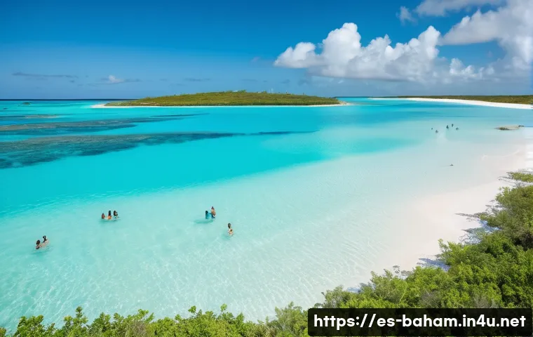 바하마 휴양지 추천 - A breathtaking tropical beach scene on Exuma island featuring pristine white sugar-like sand and cry...