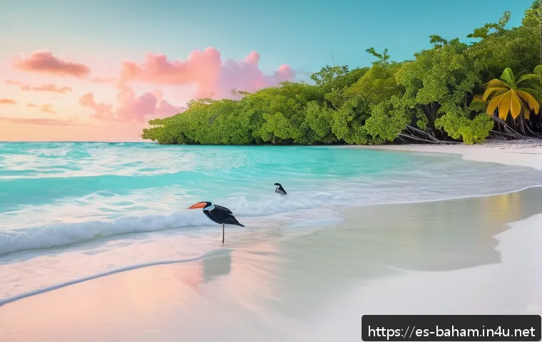 바하마 관광 필수 코스 - A serene hidden beach in the Bahamas at sunrise, featuring soft pink sand and crystal-clear turquois...